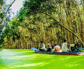 Du lịch Miền Tây - Mỹ Tho - Châu Đốc - Rừng Tràm Trà Sư - Thiên Cấm Sơn từ Sài Gòn